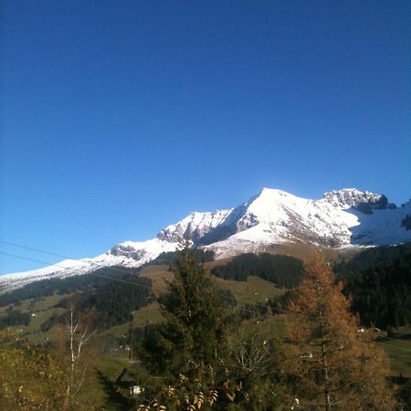 Oeystrasse 10A Daire Adelboden Dış mekan fotoğraf